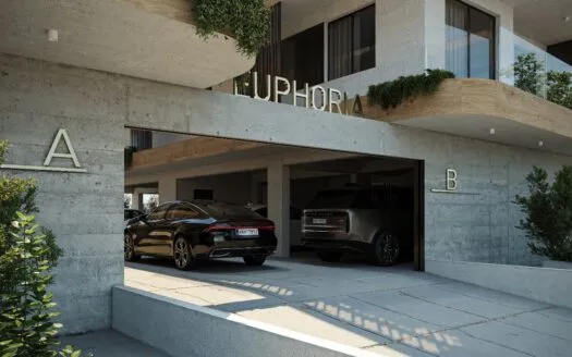 صورة 2: EUPHORIA B104