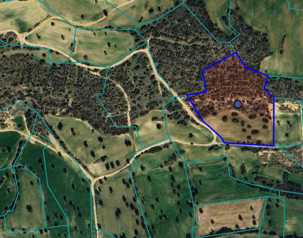 Land in Larnaca / Agios Theodoros Larnaca